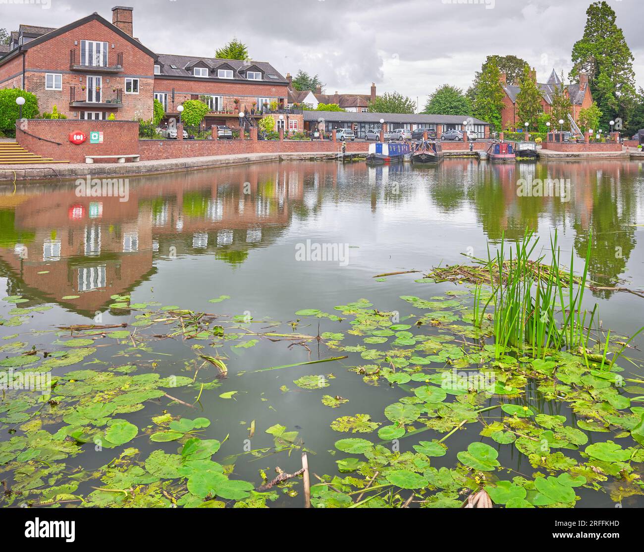 Water lilies and reeds at the Union Wharf marina basin, Market