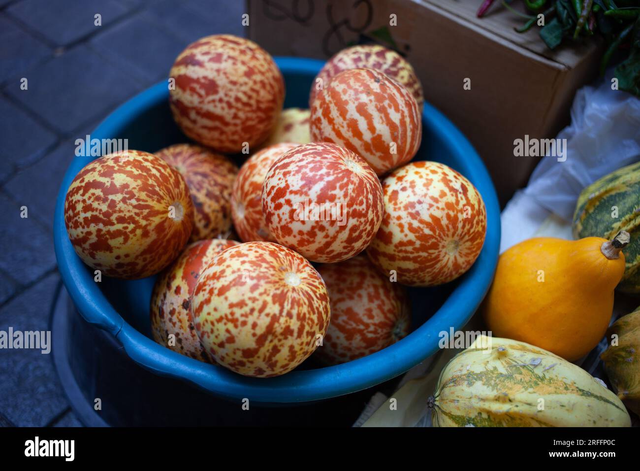 Queen Anne’s Pocket (Plum Granny) melon on a market. Fruits and