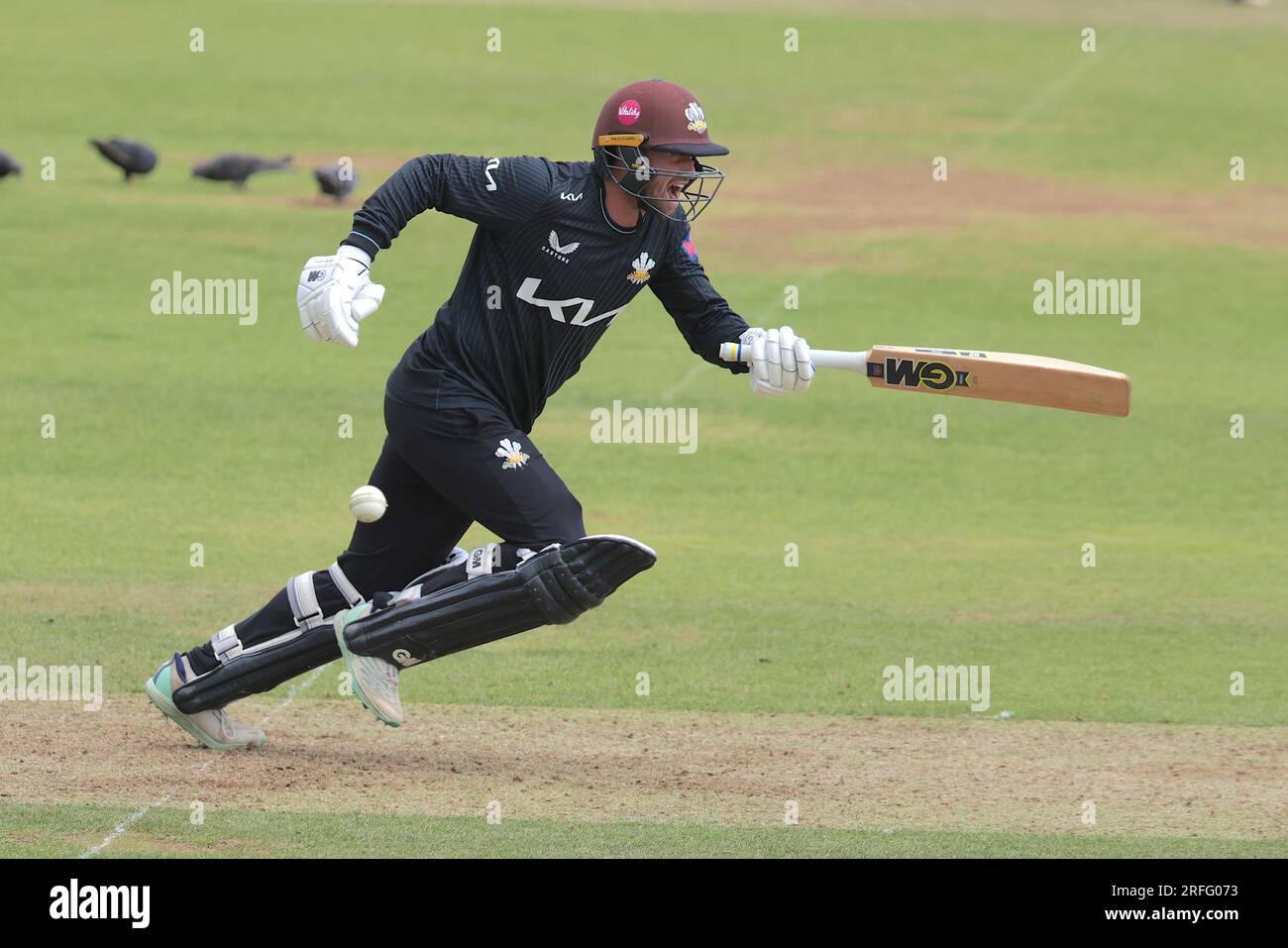 London, UK. 3rd Aug, 2023. Surrey's Cameron Steel batting as Surrey take on Leicestershire in the Metro Bank One-Day Cup at the Kia Oval. Credit: David Rowe/Alamy Live News Stock Photo