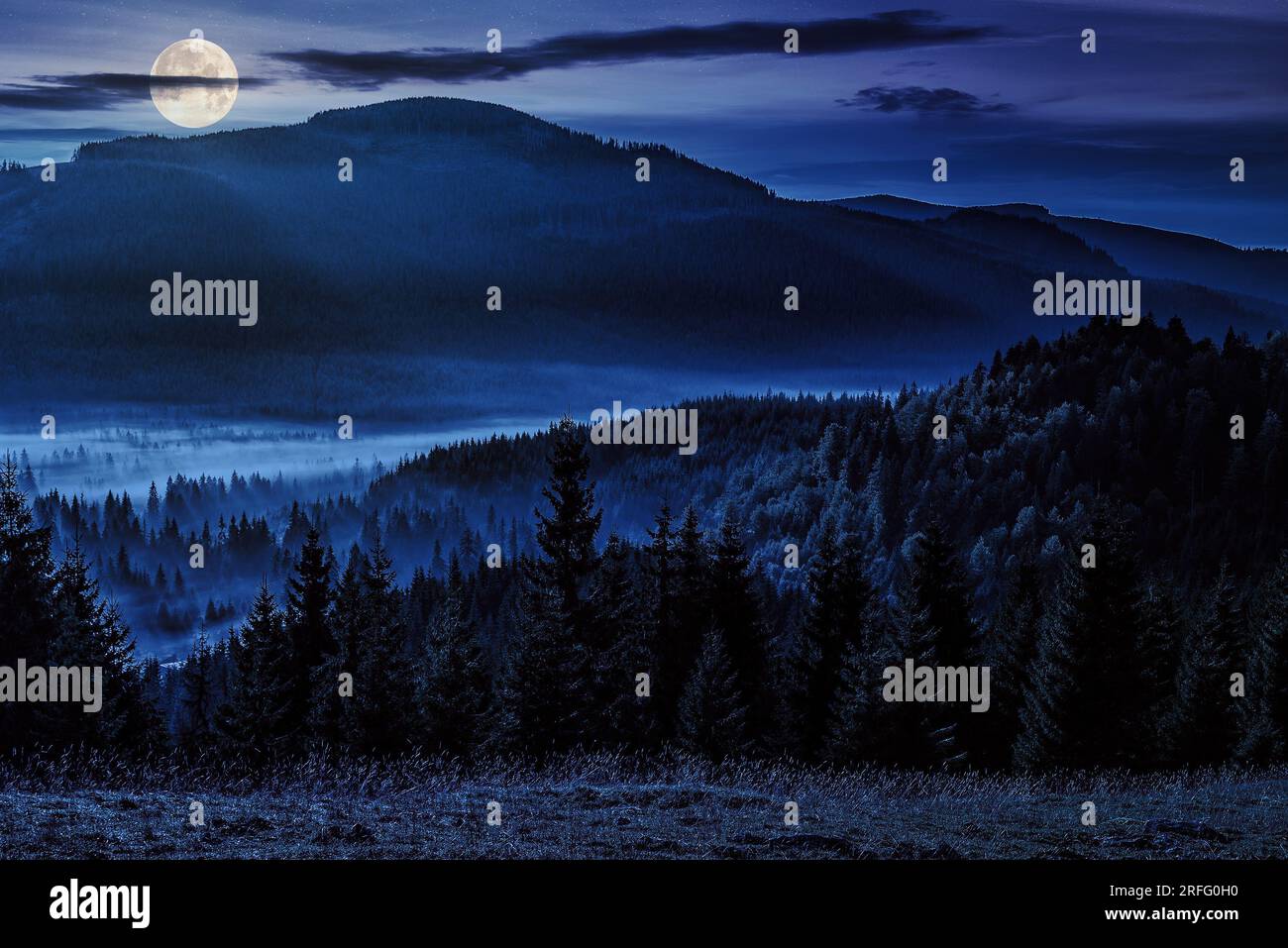 cold fog in the valley in autumn at night. spruce forest on the hill in apuseni mountains of romania. mysterious countryside scenery in full moon ligh Stock Photo
