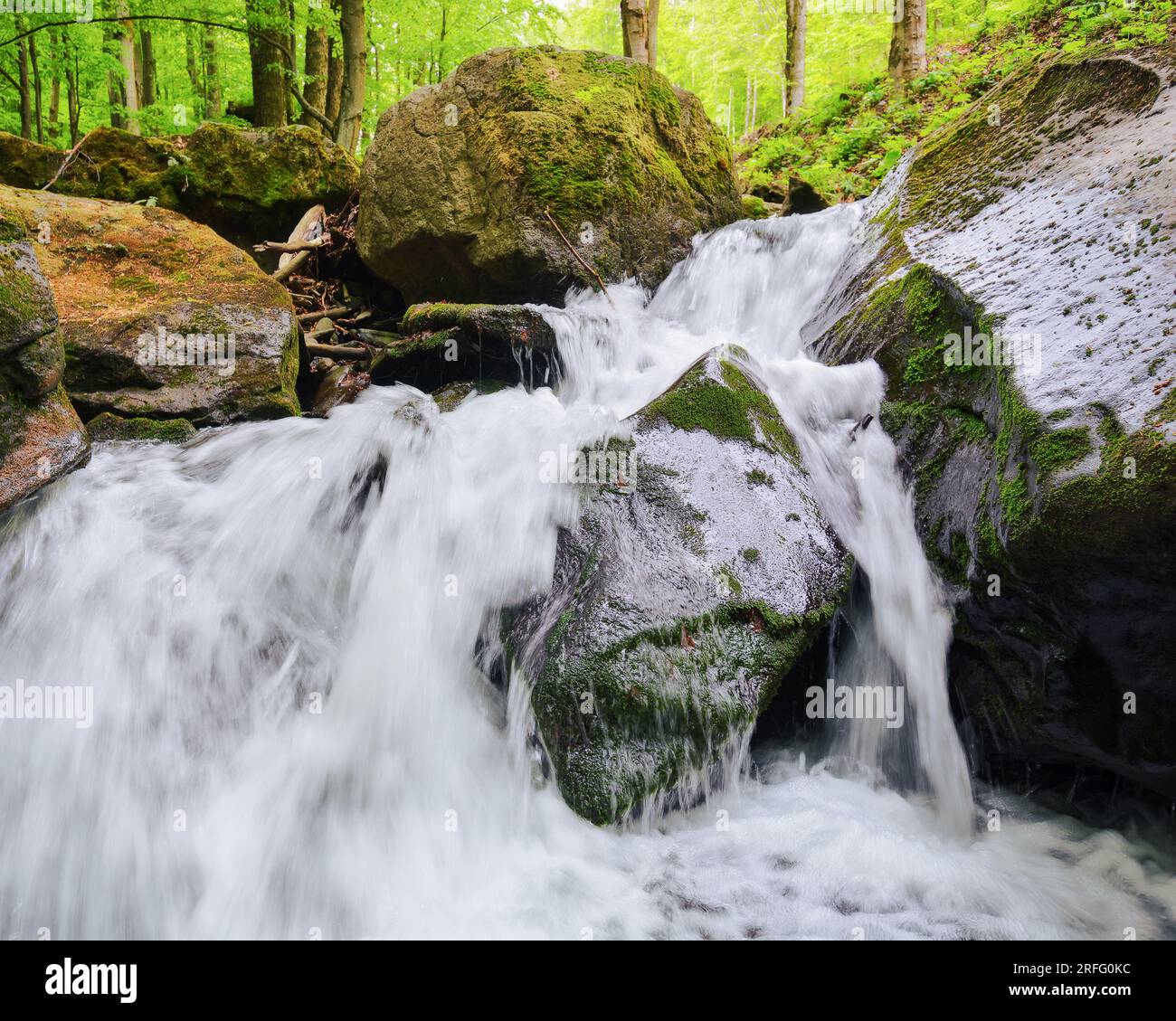 waterfall among the rocks. creek in the forest. clear water in nature ...