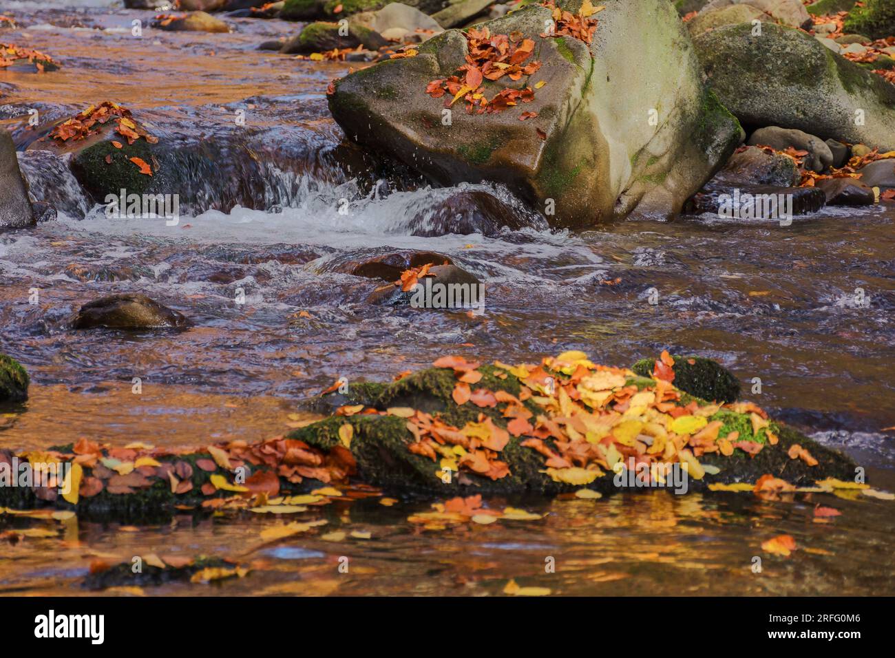 scenery with stones and rocks on the shore of a river. autumn landscape in mountains Stock Photo