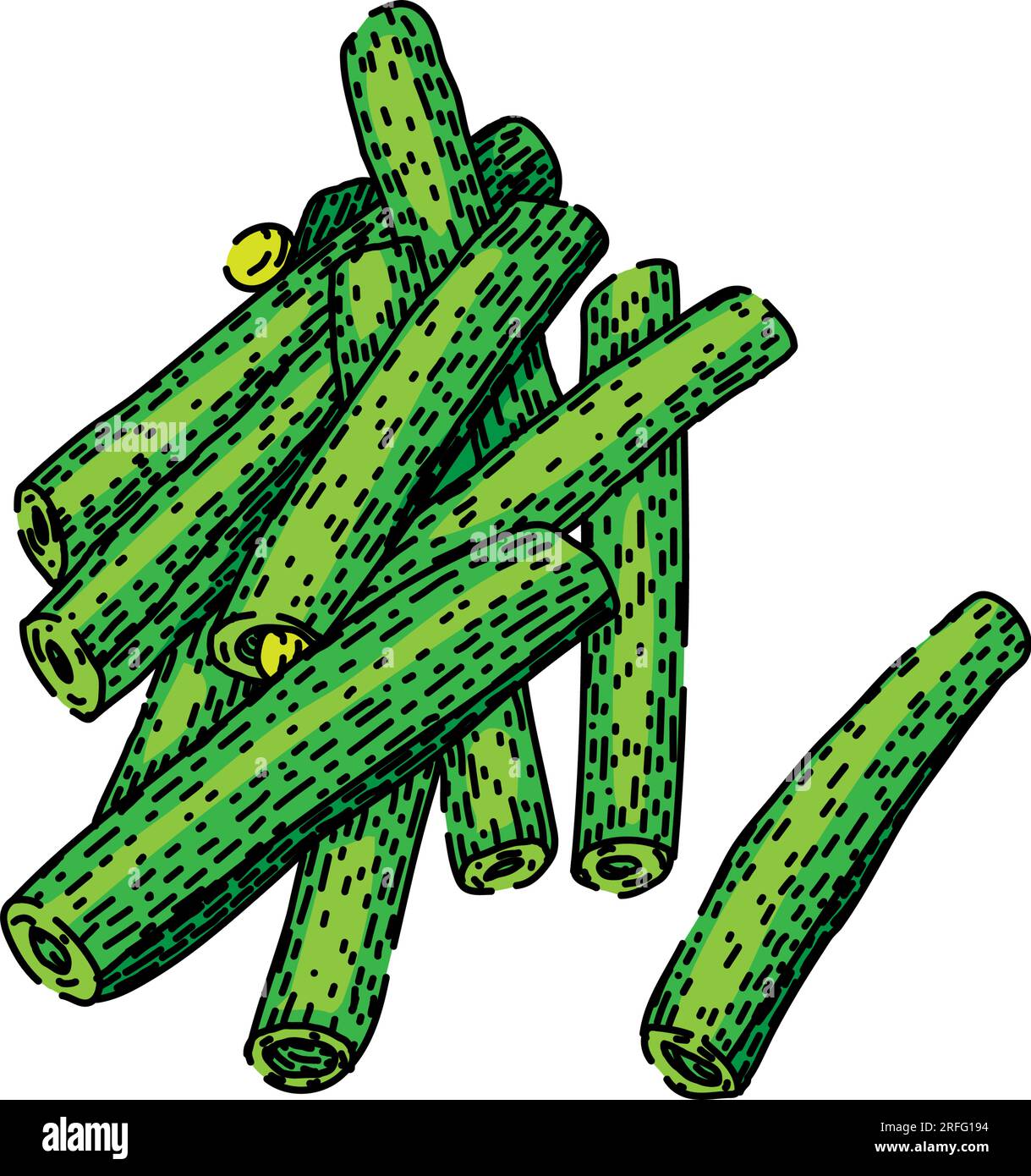 vegetarian geen beans sketch hand drawn vector Stock Vector Image & Art