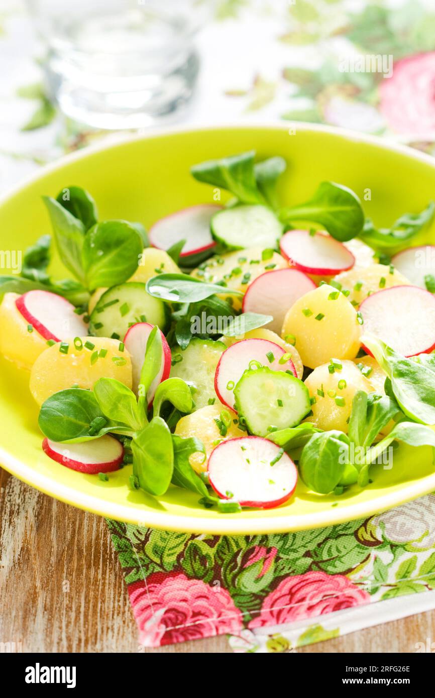 Potato cucumber salad hires stock photography and images Alamy