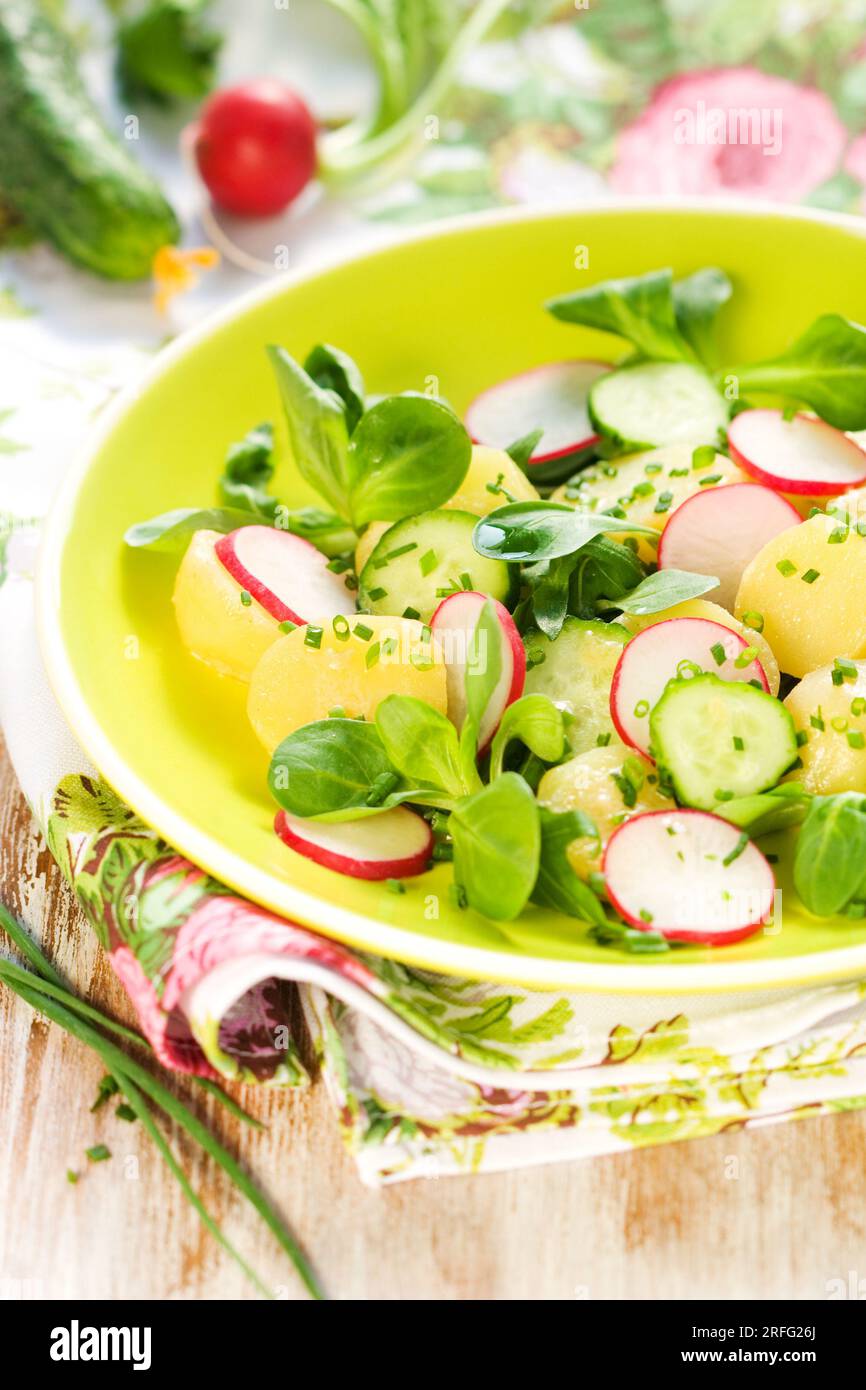 New Potato salad with radishes and cucumbers Stock Photo Alamy
