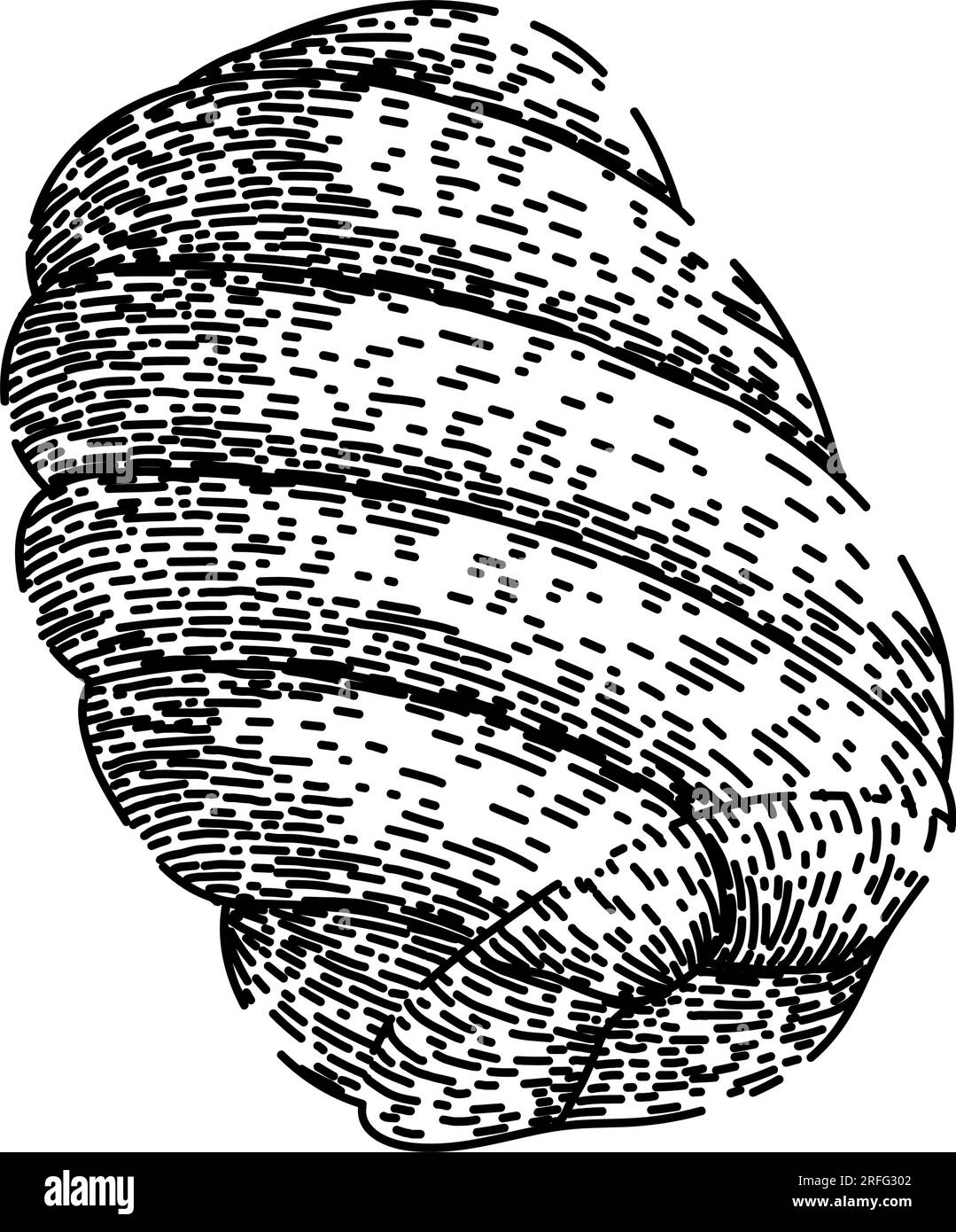 sweet marshmallow candy sketch hand drawn vector Stock Vector Image