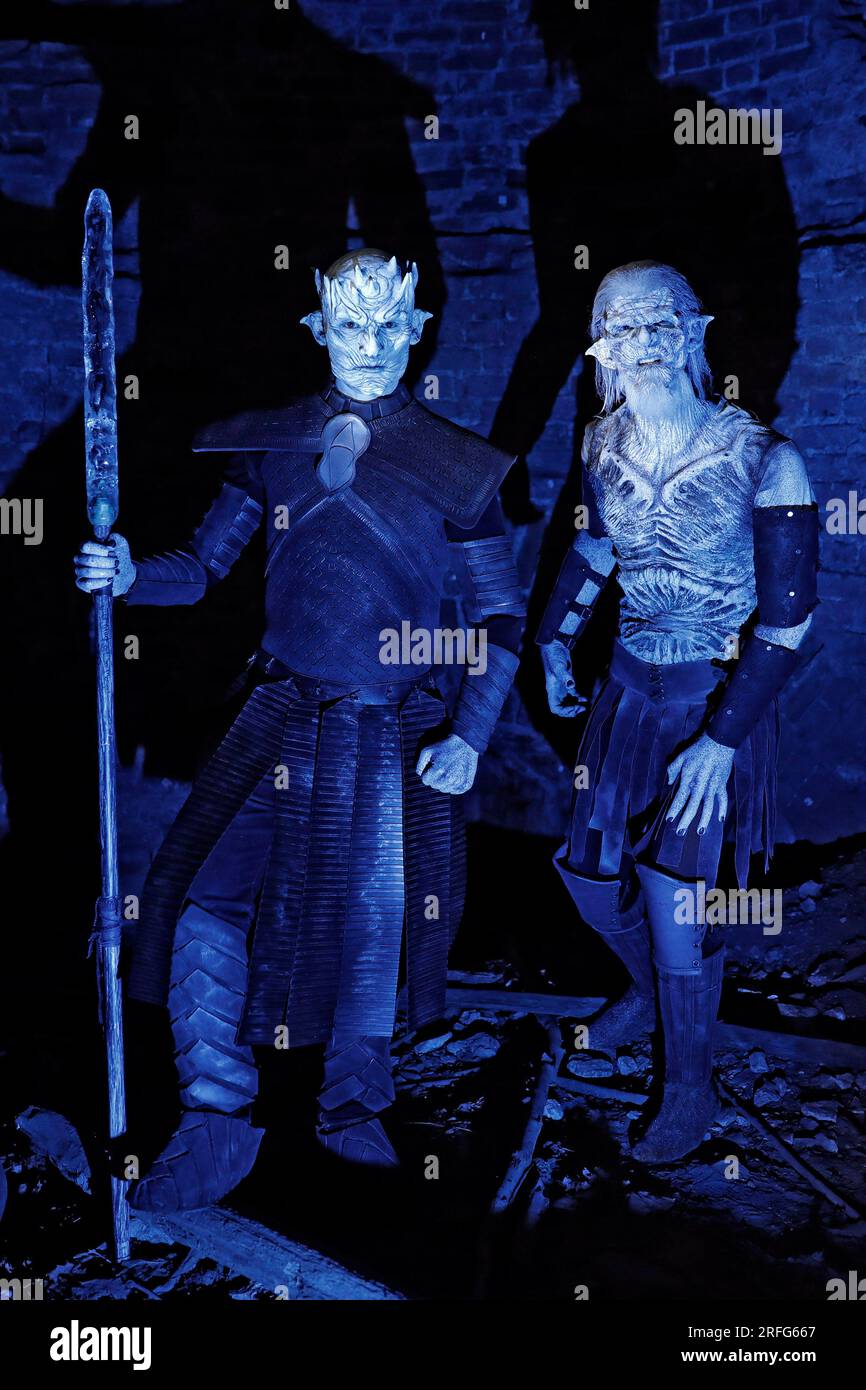 GEEK ART - Bodypainting and Transformaking: Game of Thrones photoshooting with Paul as the Night King and Torben as White Walker in the ruins of Calenberg Castle in Schulenburg. - A project by photographer Tschiponnique Skupin and bodypainter Enrico Lein Stock Photo