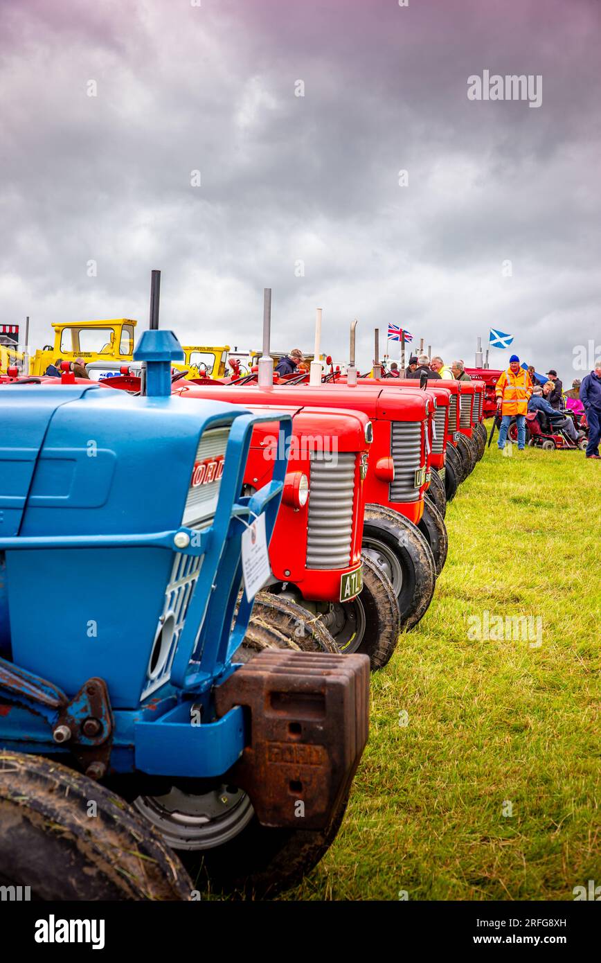 Front view of tractors first a Ford the a line of Massey Ferguson tractors Stock Photo Alamy