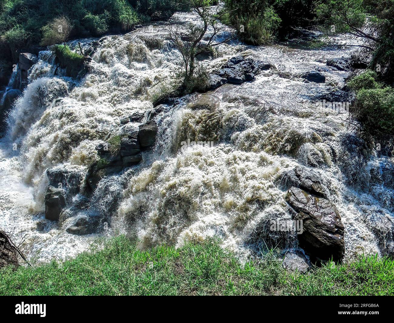 The Awash river Stock Photo - Alamy