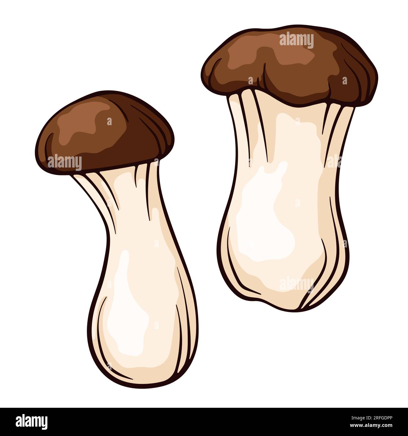 King trumpet mushroom in cartoon style. Eringi king oyster hand drawn