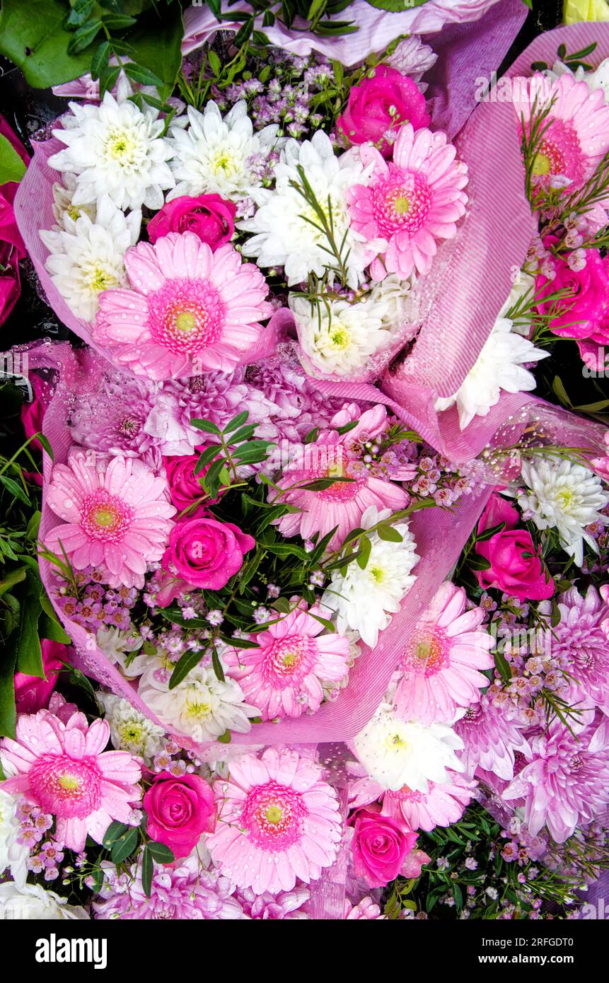 Amazing multicolored flower arrangement in a summer garden. Bouquet detail - Flower arrangement. Stock Photo