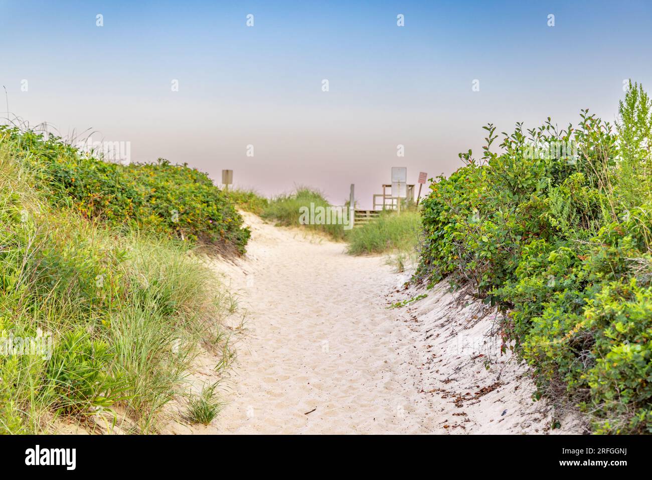 path through the dunes to the ocean beach in montauk Stock Photo