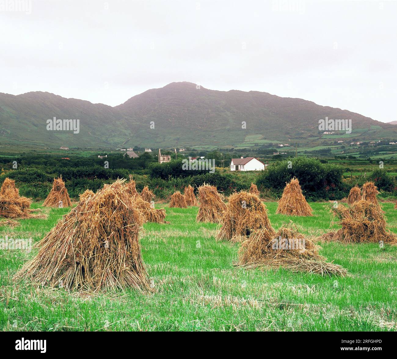 Ireland. County Cork. Ring of Beara. Slieve Miskish mountains. Stock Photo