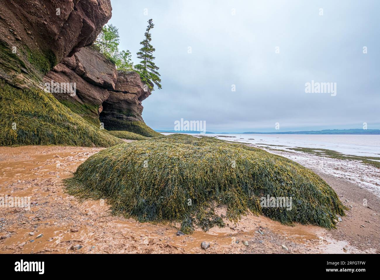Hopewell Rocks Provincial Park is a popular tourist destination in New ...