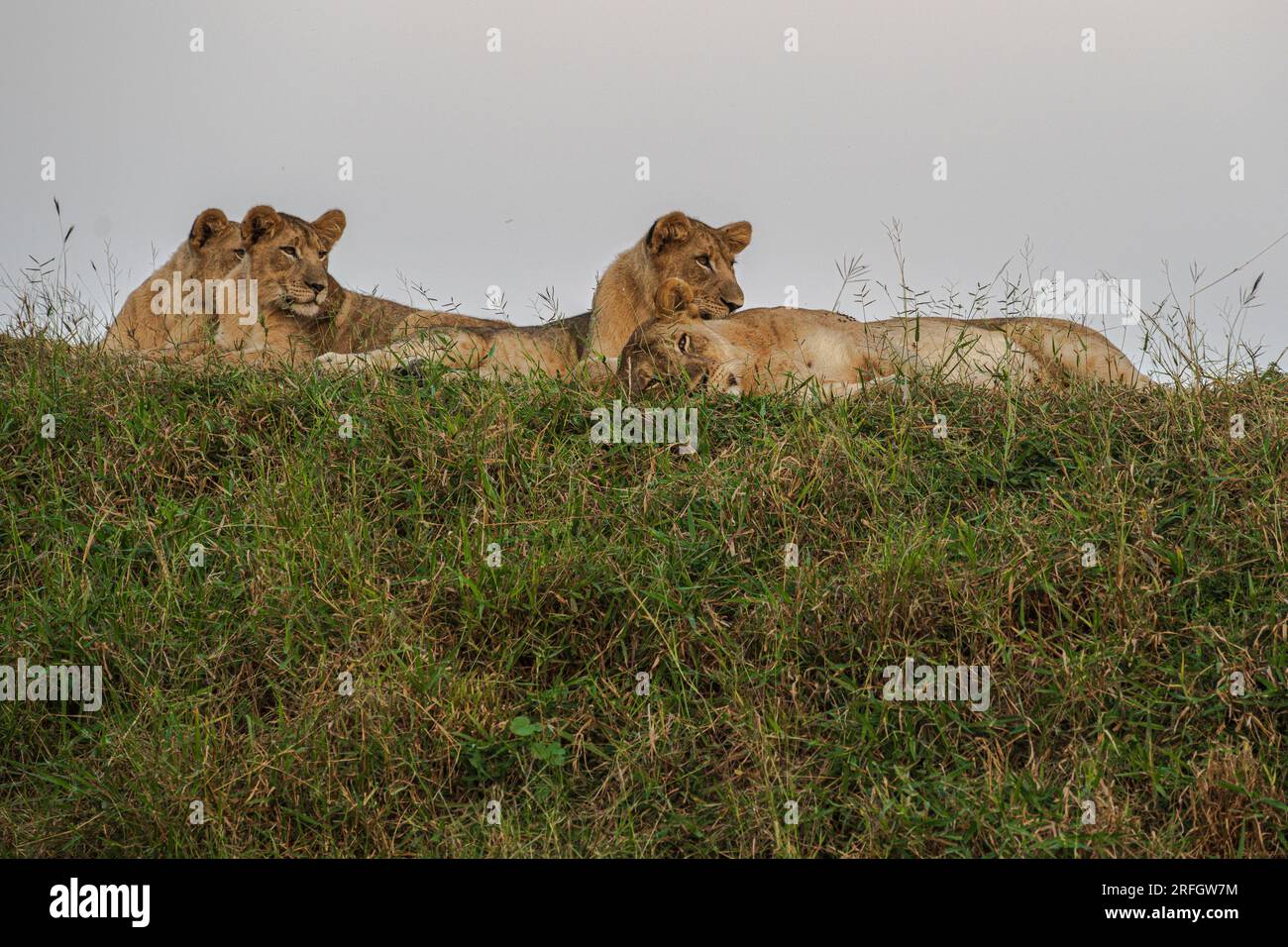 Private education south africa hi-res stock photography and images - Alamy