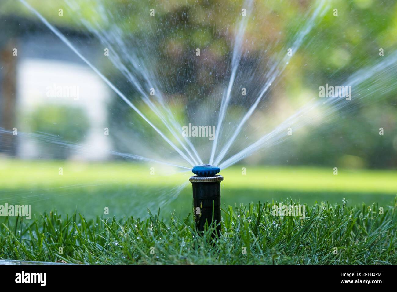Irrigation system in home garden. Automatic lawn sprinkler watering ...
