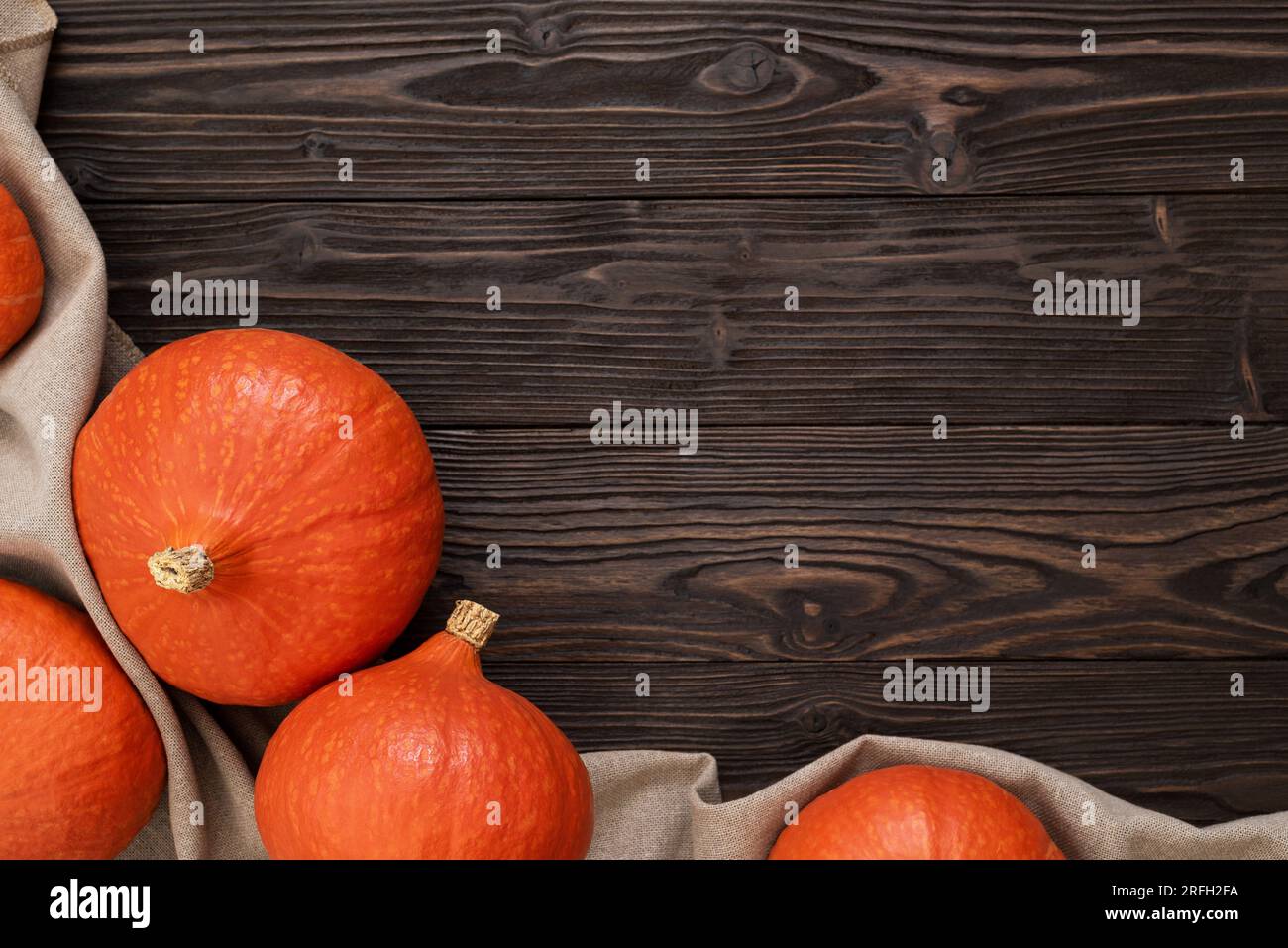 Vintage Wooden Background with a Harvest of Hokkaido Pumpkins or Red Kuri Squash Stock Photo