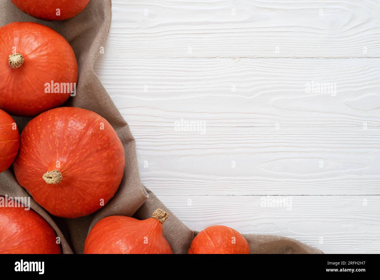 White Wooden Background with a Harvest of Hokkaido Pumpkins or Uchiki Kuri Squash Stock Photo