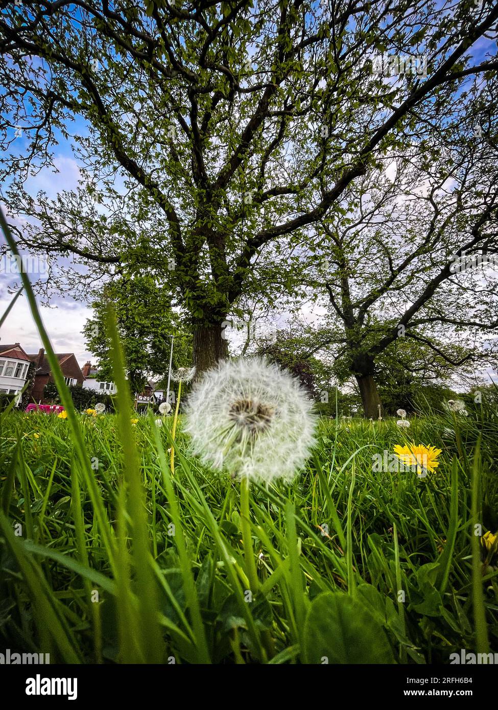 The george on the green hi-res stock photography and images - Alamy