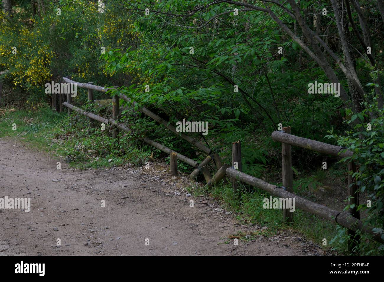wooden fence in the middle of the forest broken and destroyed in green spot Stock Photo