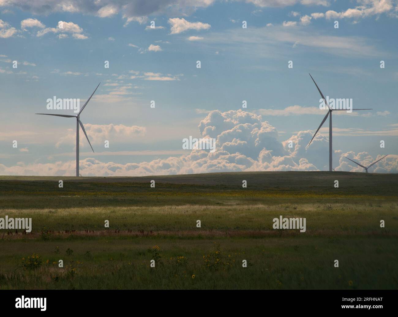 Colorado wind turbines Stock Photo