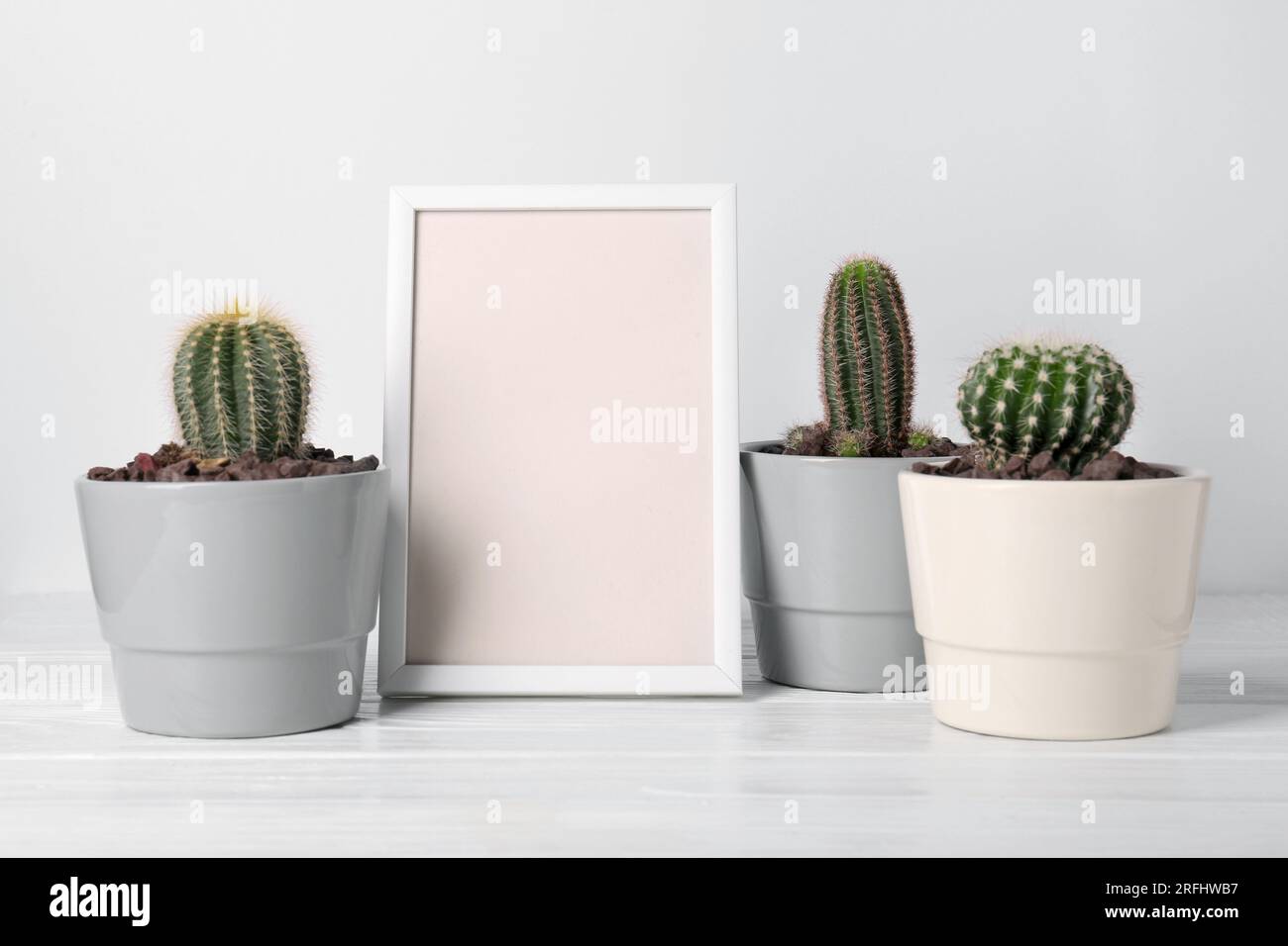 Different cacti in pots and frame on white wooden table Stock Photo - Alamy