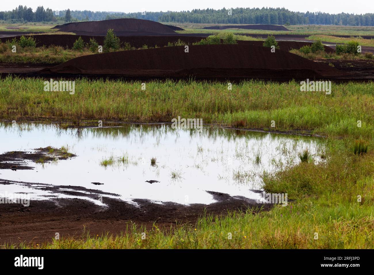 black peat is stacked in huge piles for loading on transport, the ...