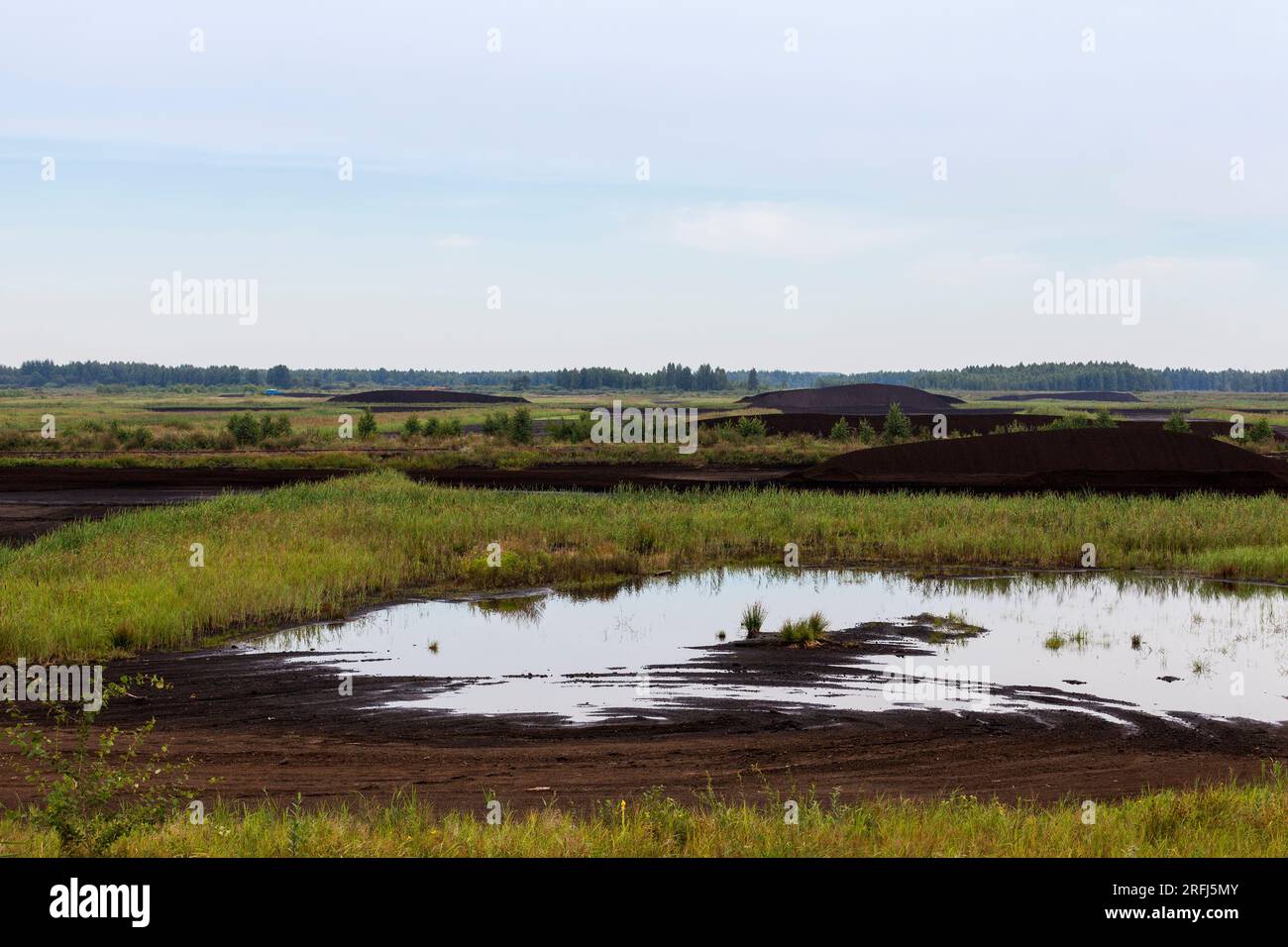 black peat is stacked in huge piles for loading on transport, the ...