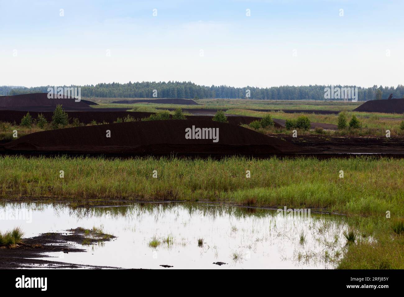 the flooded area where peat is extracted, black peat is stacked in huge ...