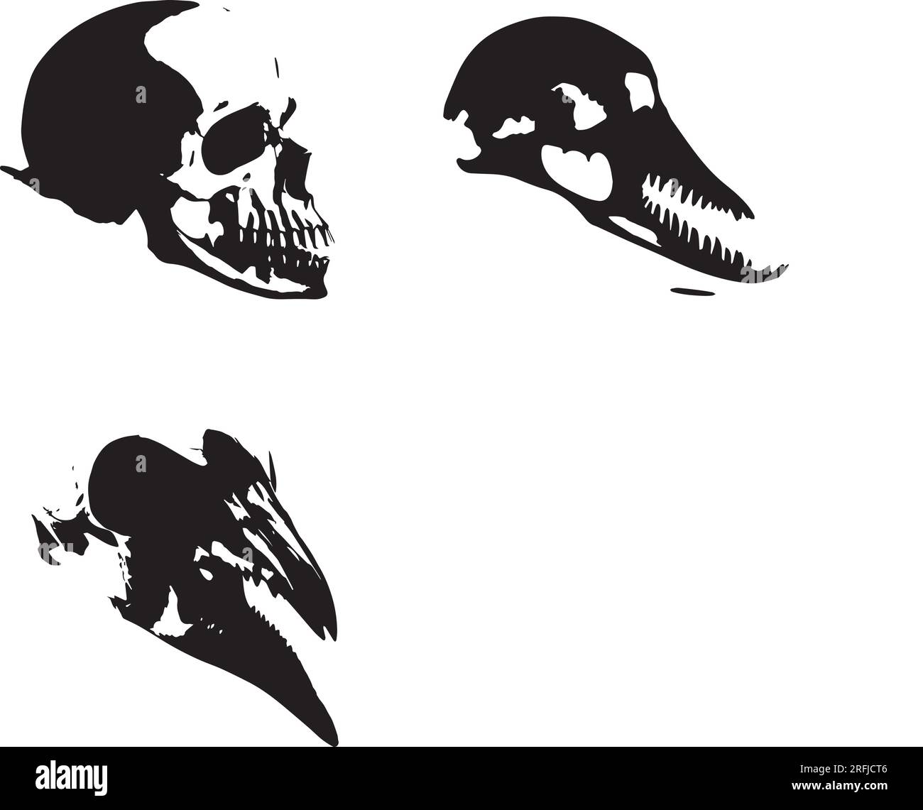 Silhouette Head Skull illustration Stock Vector