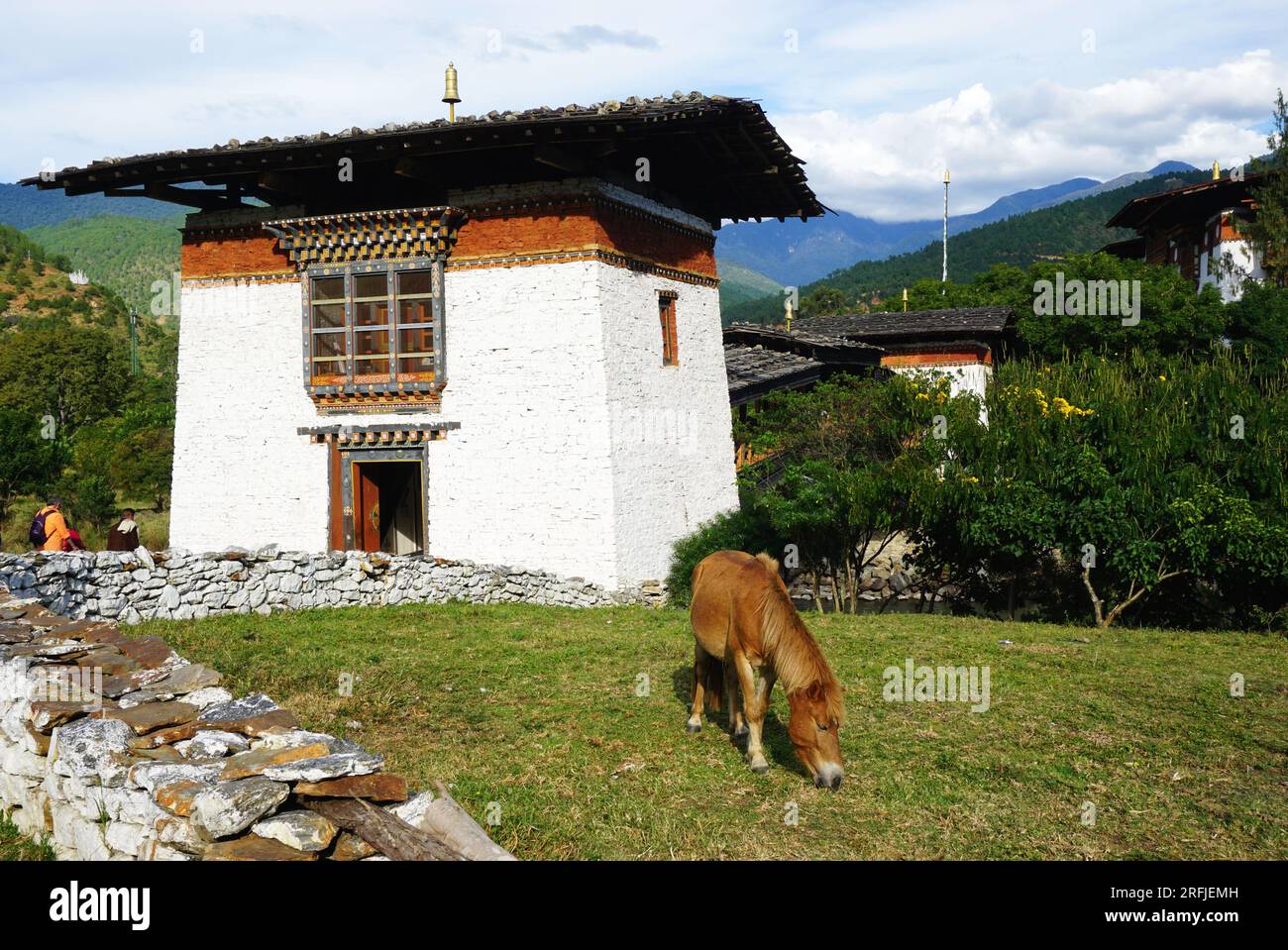 A lone pony grazes on grass near the entrance to the wooden cantilever bridge over the Mo Chhu River leading to Punakha Dzong in the Kingdom of Bhutan Stock Photo