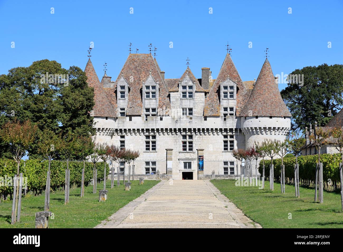 Château et vignoble de Monbazillac, Dordogne, Périgord, France Stock Photo