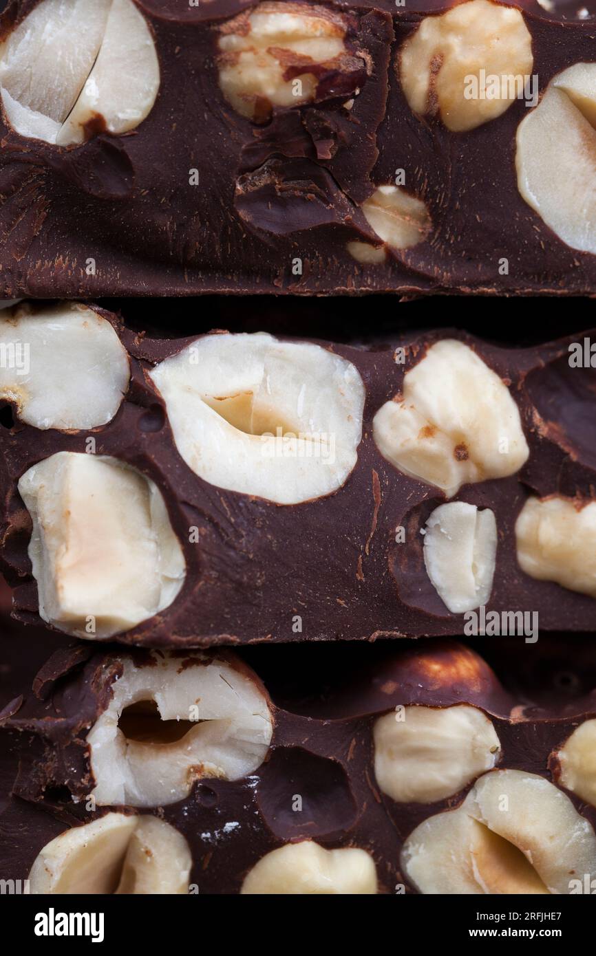 homemade bitter chocolate bar with roasted hazelnuts, bitter chocolate