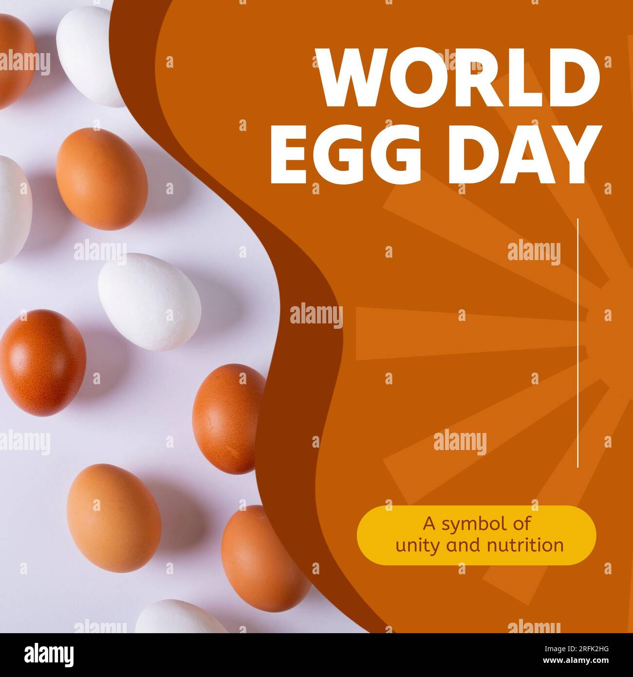 Composite of brown and white eggs and world egg day, a symbol of unity