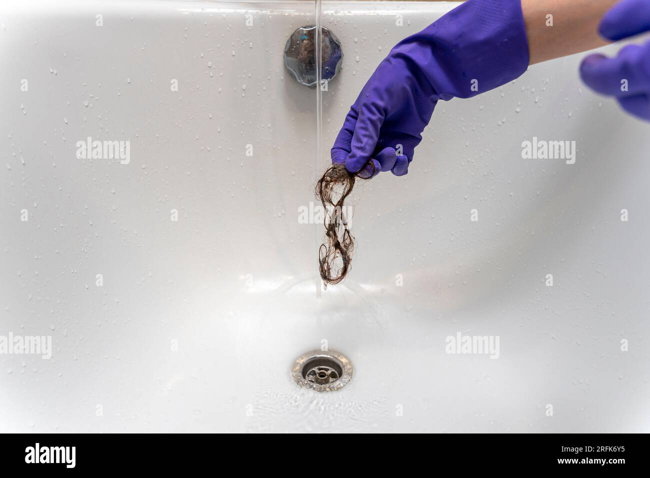 a hand in a purple rubber glove pulls hair out of the shower drain