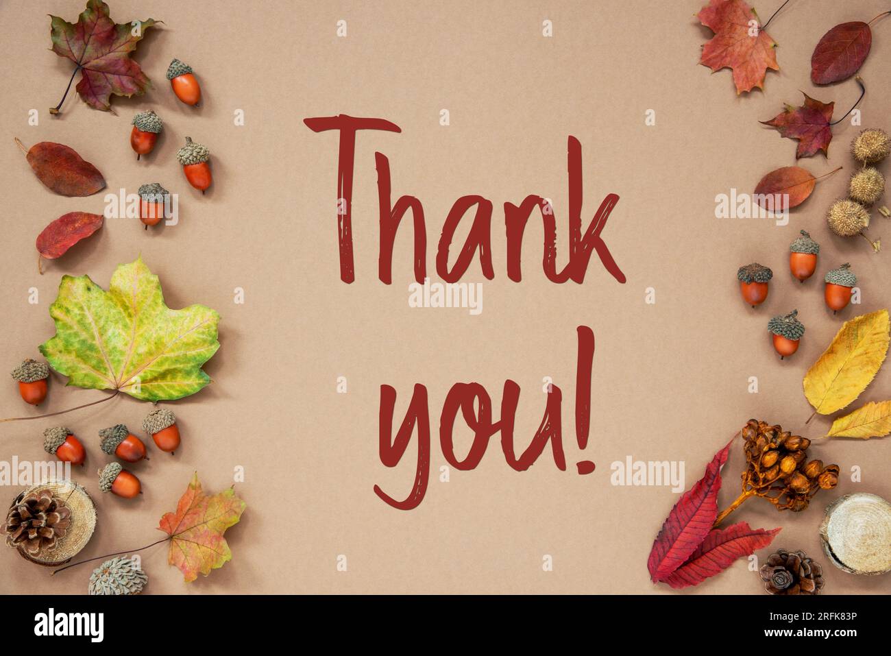 Autumn Background with Text Thank You Stock Photo - Alamy