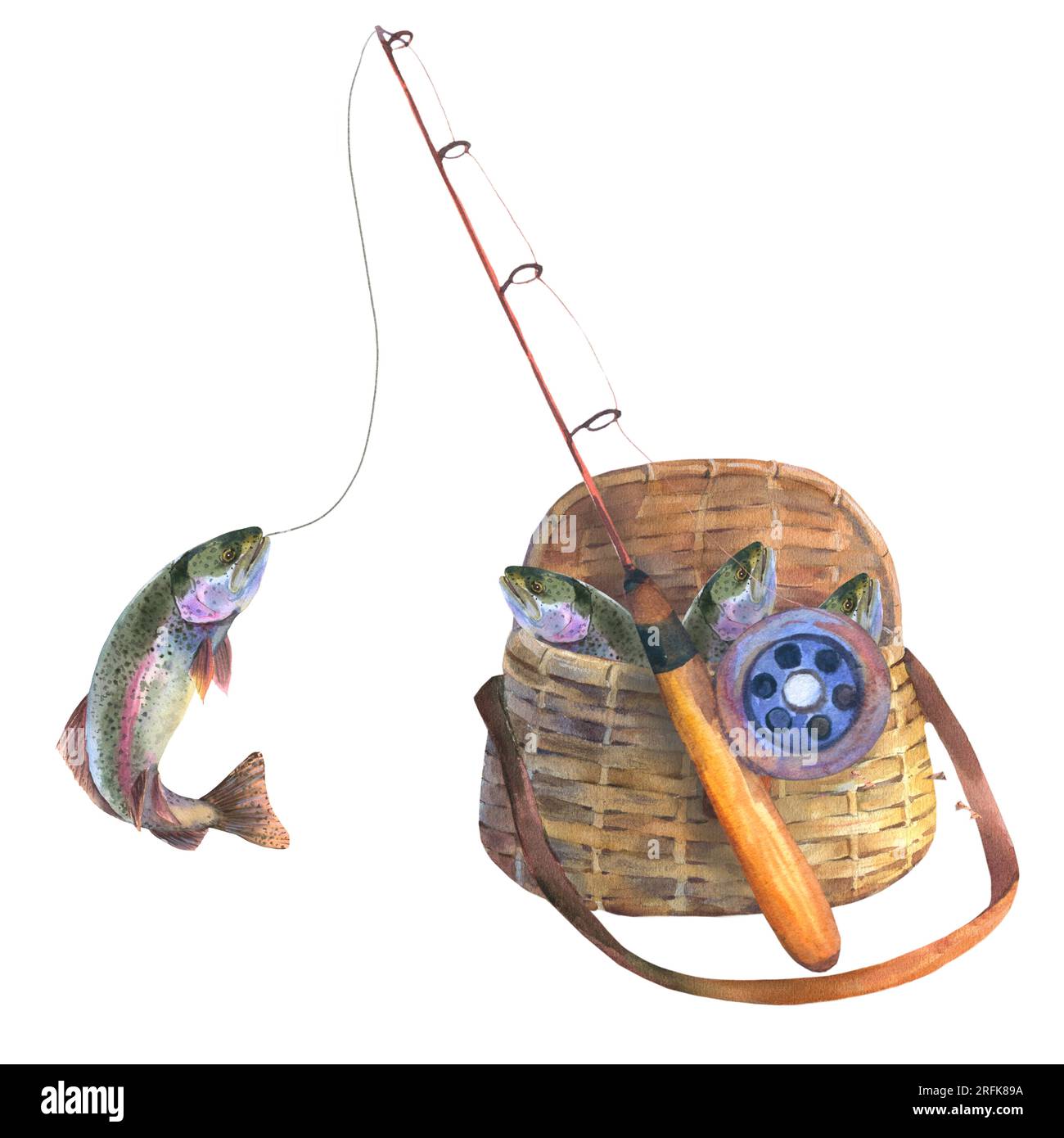 Fishing basket cut out hi-res stock photography and images - Alamy