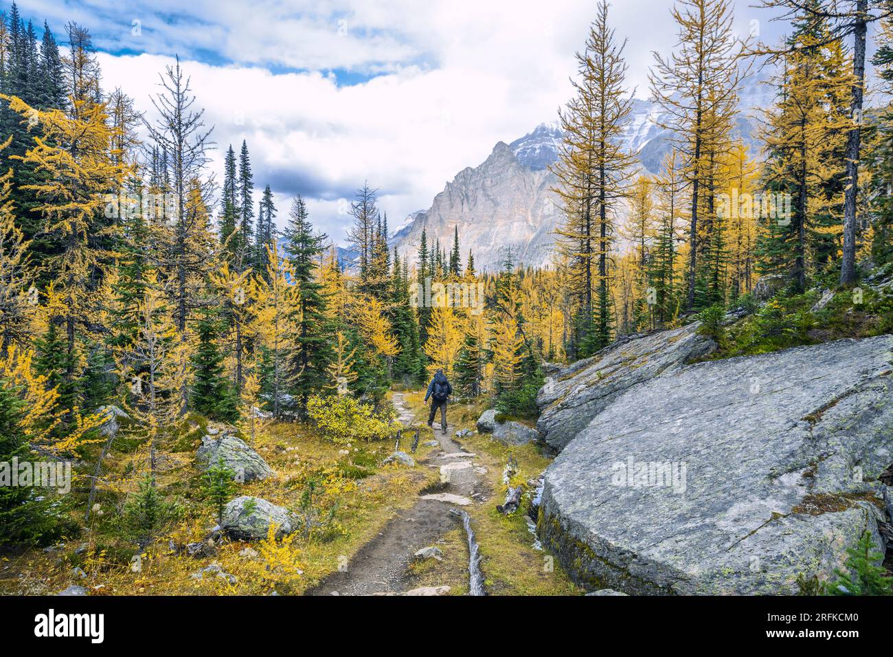 Hiker on the backcountry trail in Yoho National Park Stock Photo - Alamy