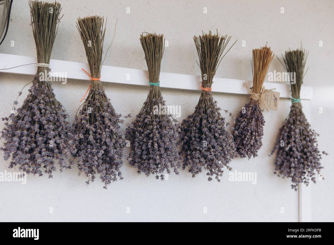 bouquets of lavender are dried on wall in summer before being sold Stock Photo