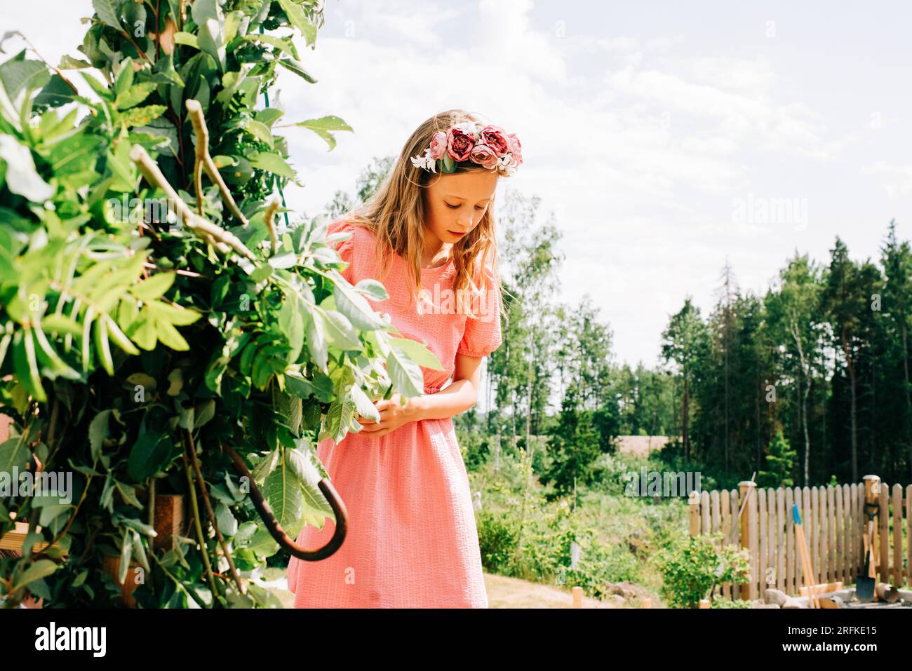 girl with midsommar hairband decorating the midsummer pole Stock Photo