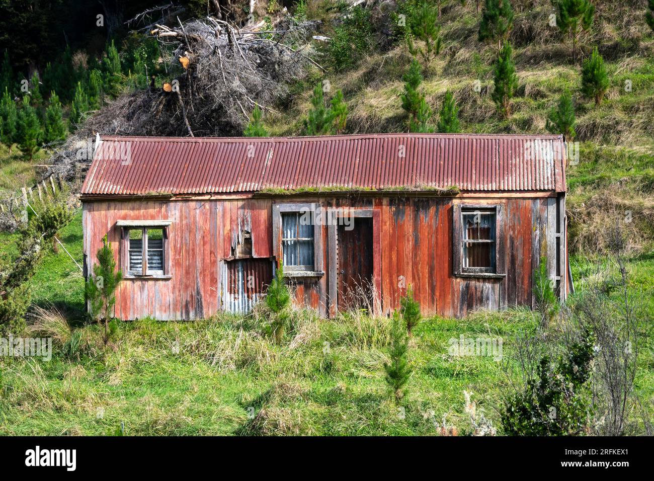 Derelict house, near Whangamomona, North Island, New Zealand Stock