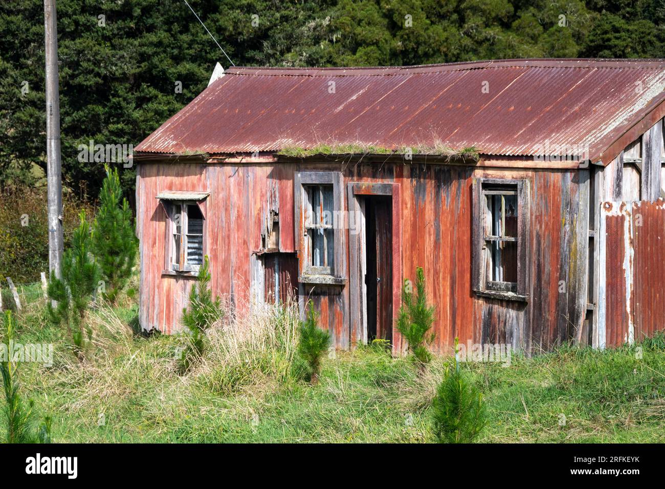Derelict house, near Whangamomona, North Island, New Zealand Stock