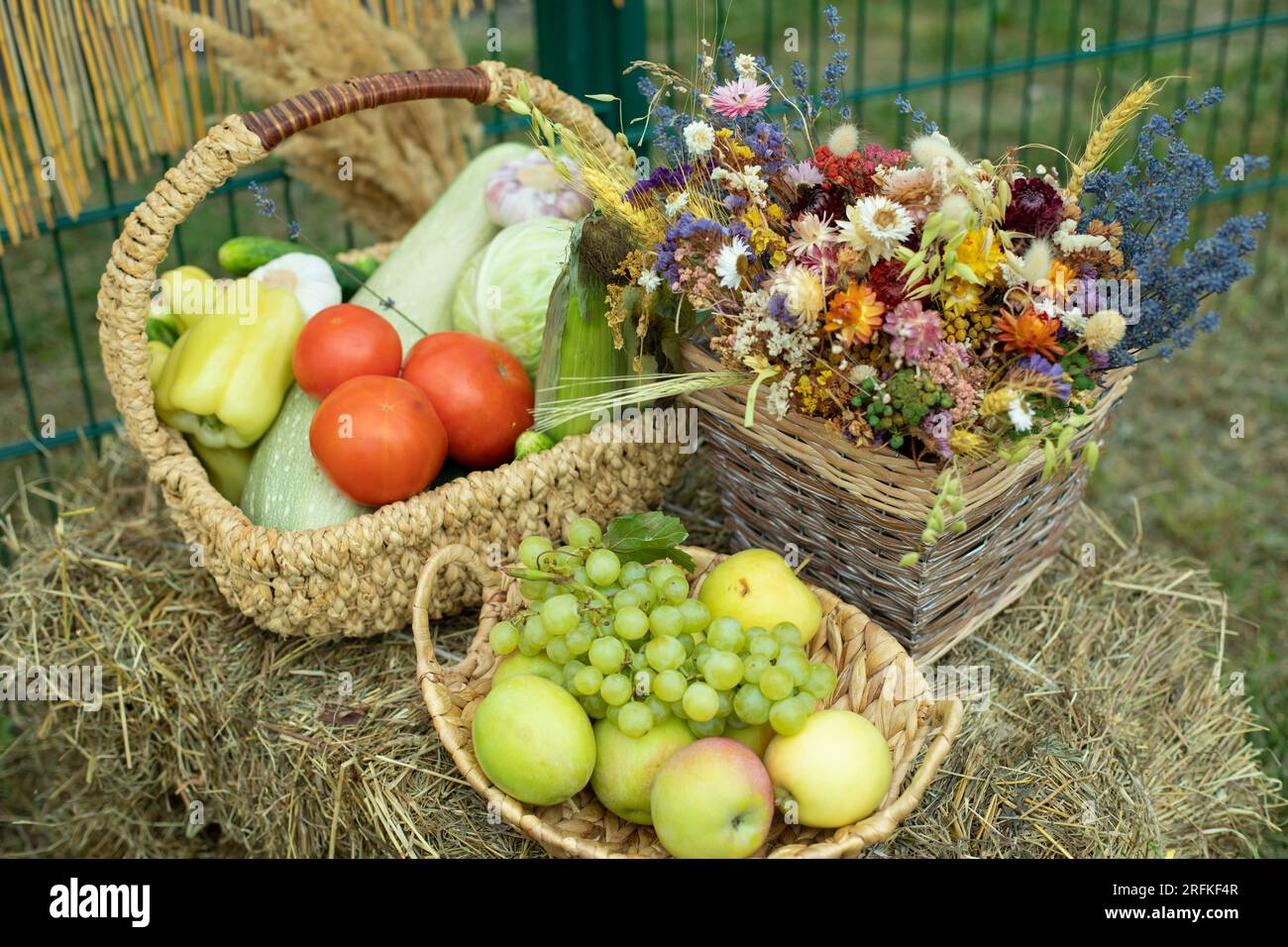 Autumn harvest of fruits and vegetables Stock Photo - Alamy