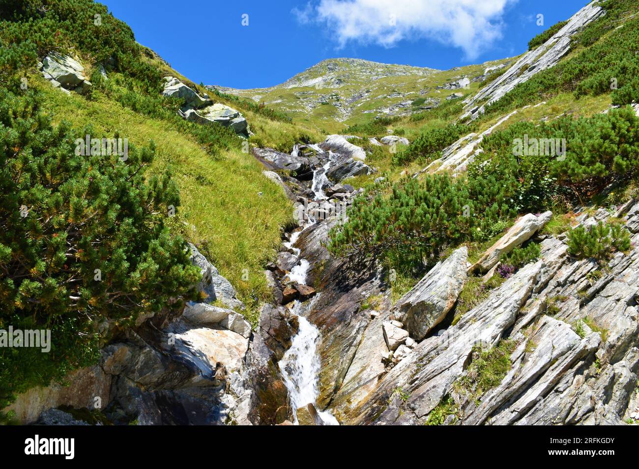 Small waterfall flowing down past alpine meadow and mugo pine and a mountain peak above in High Tauern in Carinthia, Austria Stock Photo