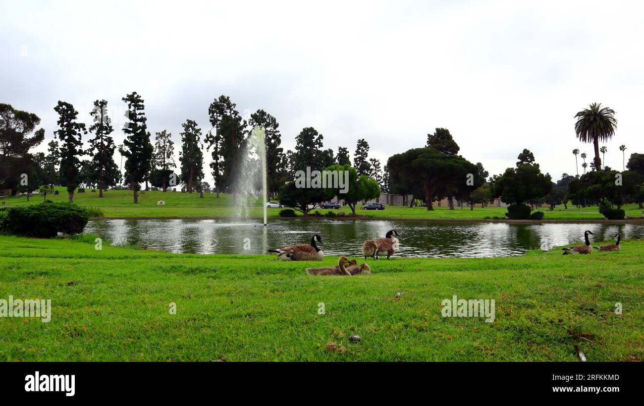 Inglewood (Los Angeles), California Inglewood Park Cemetery and