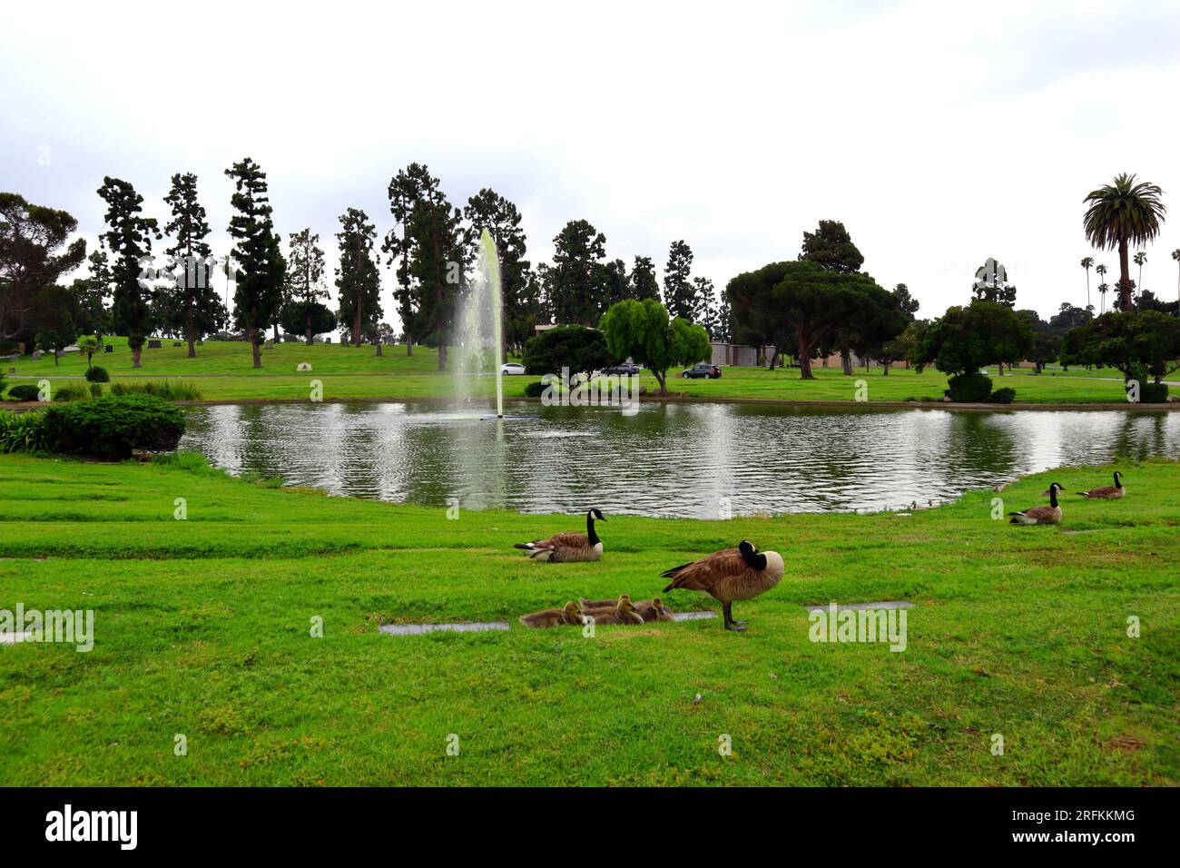 Inglewood (Los Angeles), California Inglewood Park Cemetery and