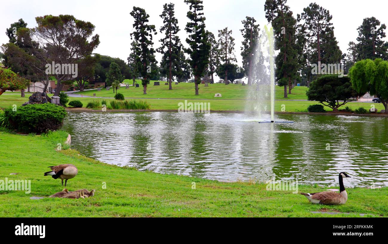 Inglewood (Los Angeles), California Inglewood Park Cemetery and