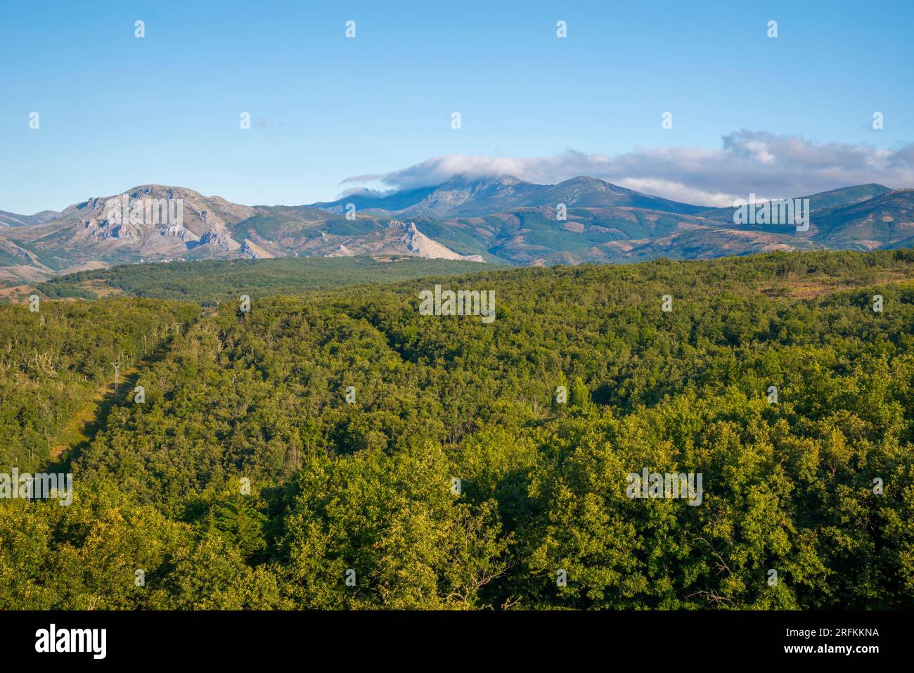 Landscape. Fuentes Carrionas Nature Reserve, Palencia province, Castilla Leon, Spain. Stock Photo