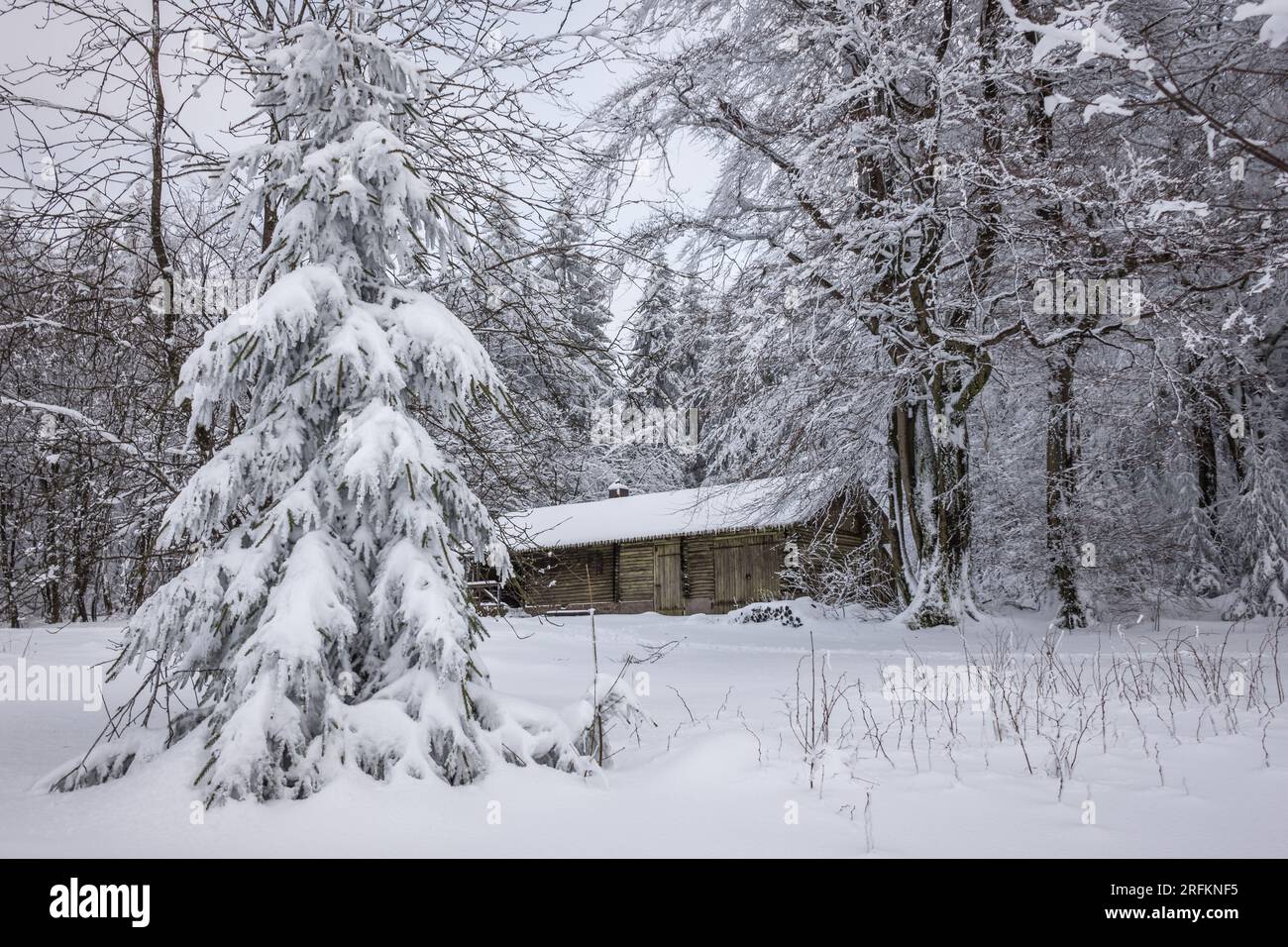 Hutte im winterwald hi-res stock photography and images - Alamy