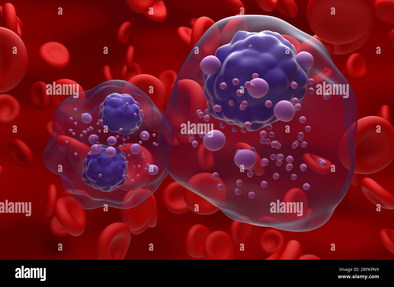 Multiple myeloma cells cluster in the blood flow - closeup view 3d illustration Stock Photo